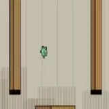 Deadly Dash