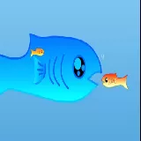 Fishy