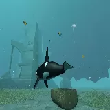Killer Whale
