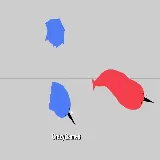 Narwhale.io